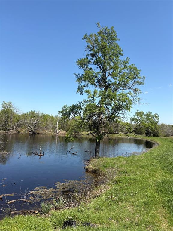 Tbd 70ac Cr 4744 Property Photo 1