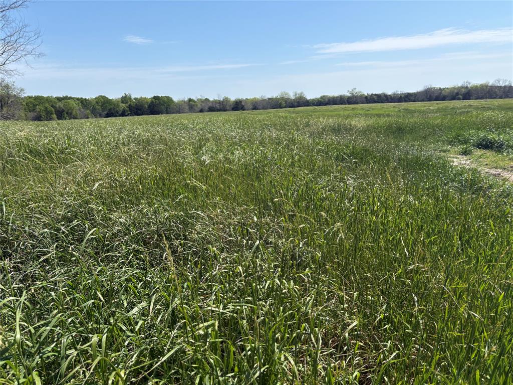Tbd 70ac Cr 4744 Property Photo 2