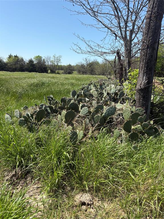 Tbd 70ac Cr 4744 Property Photo 5
