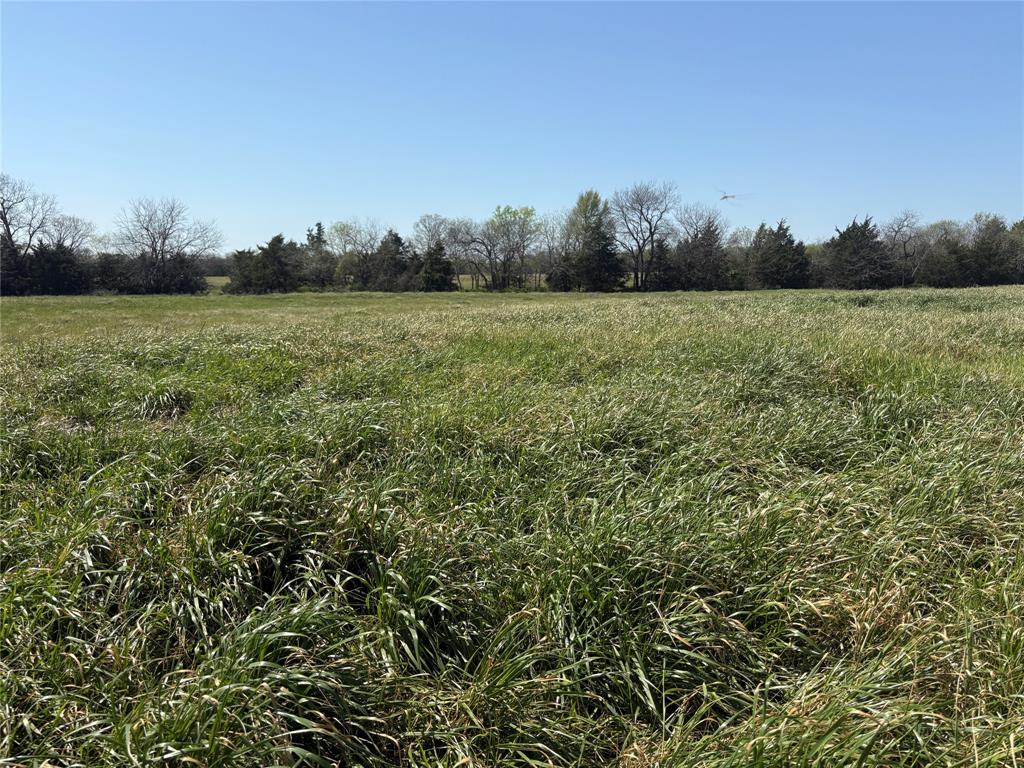 Tbd 70ac Cr 4744 Property Photo 6