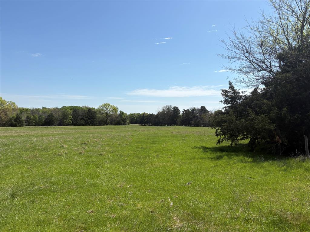 Tbd 70ac Cr 4744 Property Photo 7
