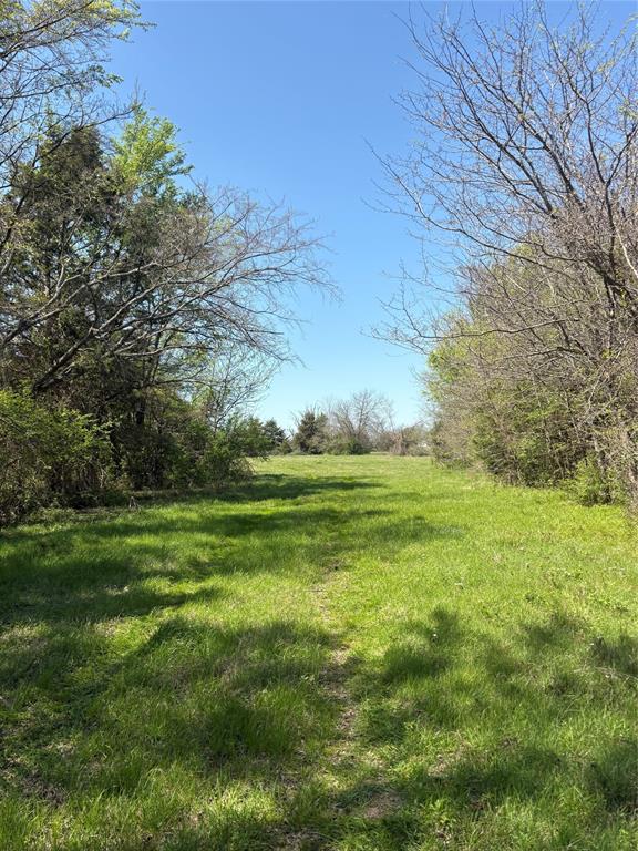 Tbd 70ac Cr 4744 Property Photo 8