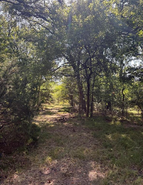 Tbd 70ac Cr 4744 Property Photo 10