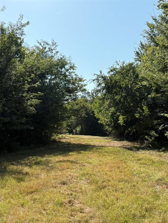 Tbd 70ac Cr 4744 Property Photo 12