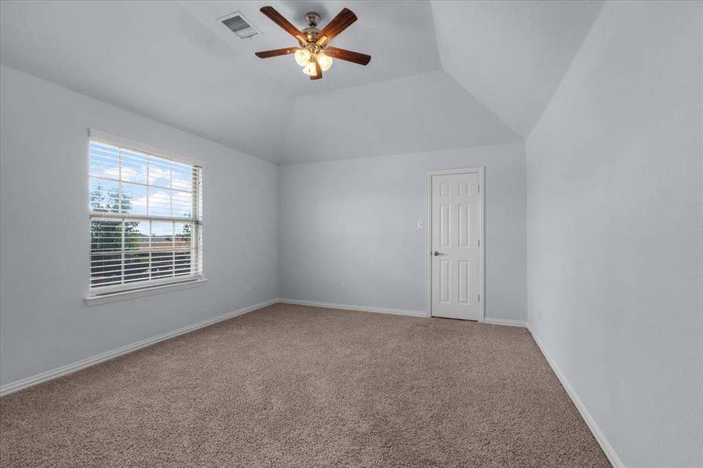 9833 Saltbrush Street Property Photo 29