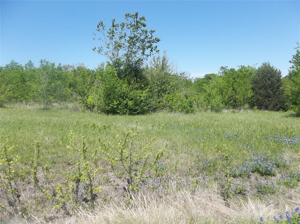 1821 State Highway 309 Property Photo 2