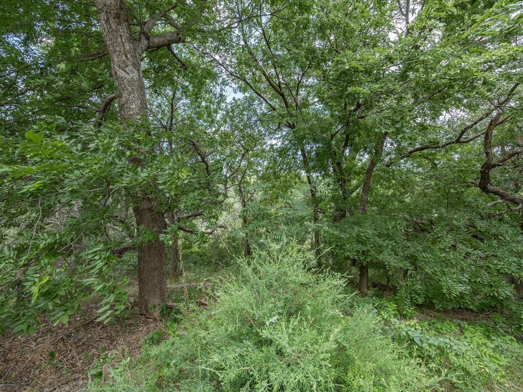 4008 Falcon Ridge Drive Property Photo 40
