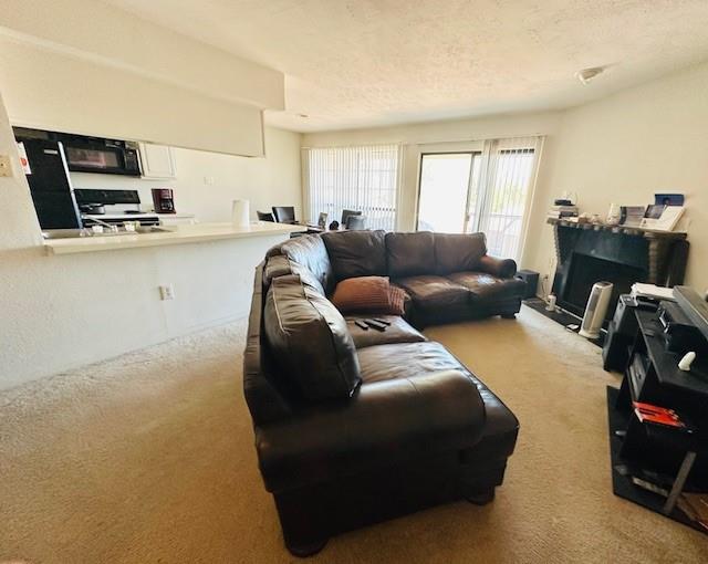 4448 Chaha Road 205