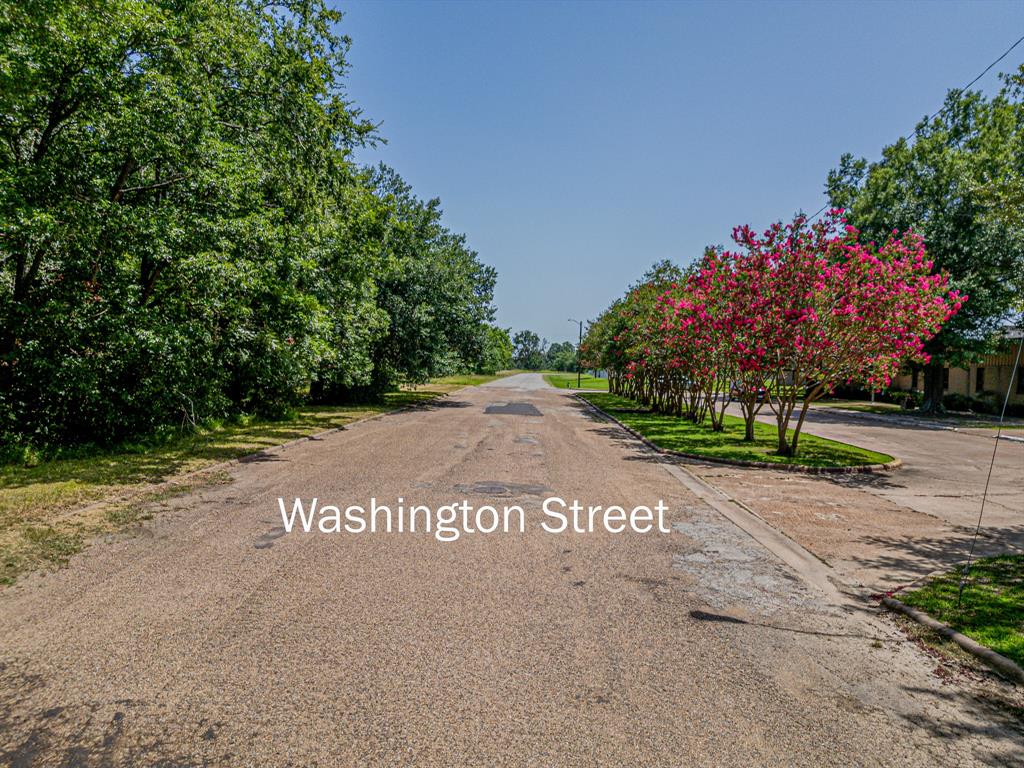 Tbd Lot 3 Washington Street Property Photo 8