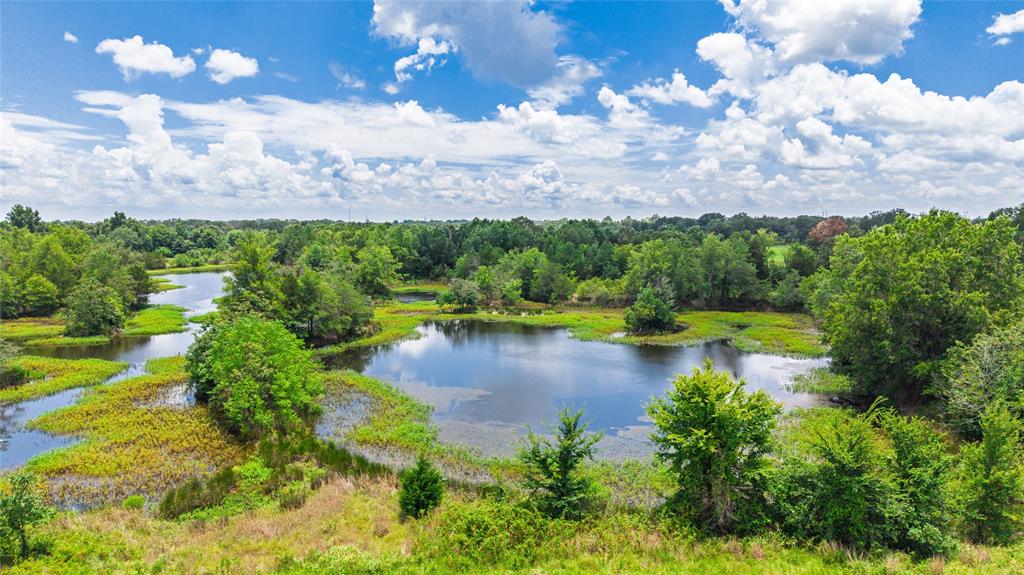 127 Ac County Road 2314 Property Photo 6