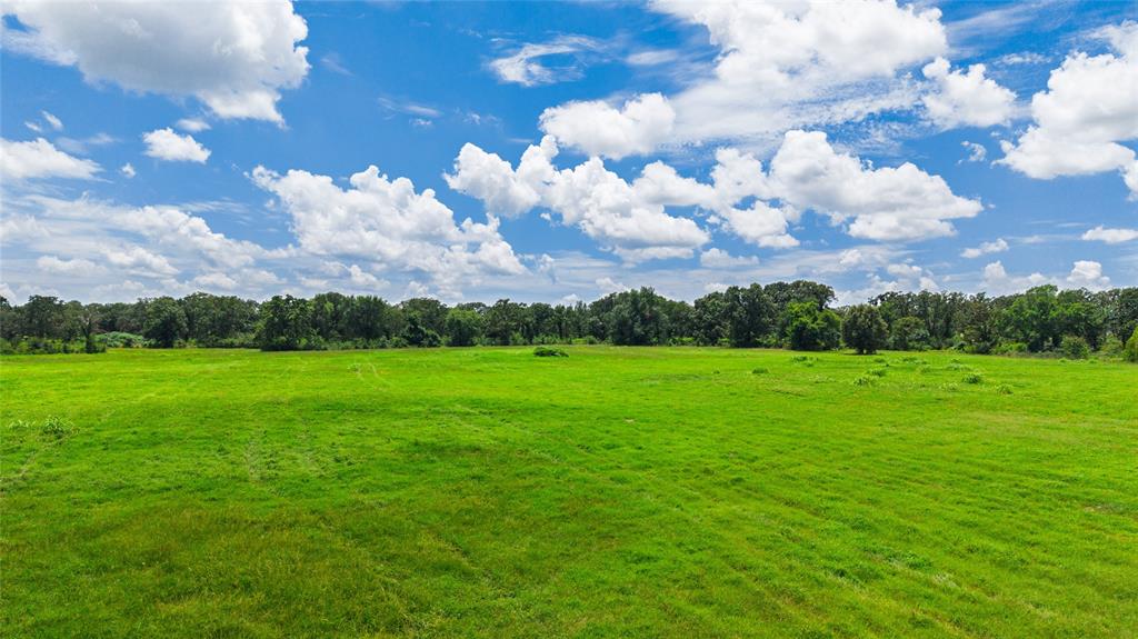 127 Ac County Road 2314 Property Photo 14