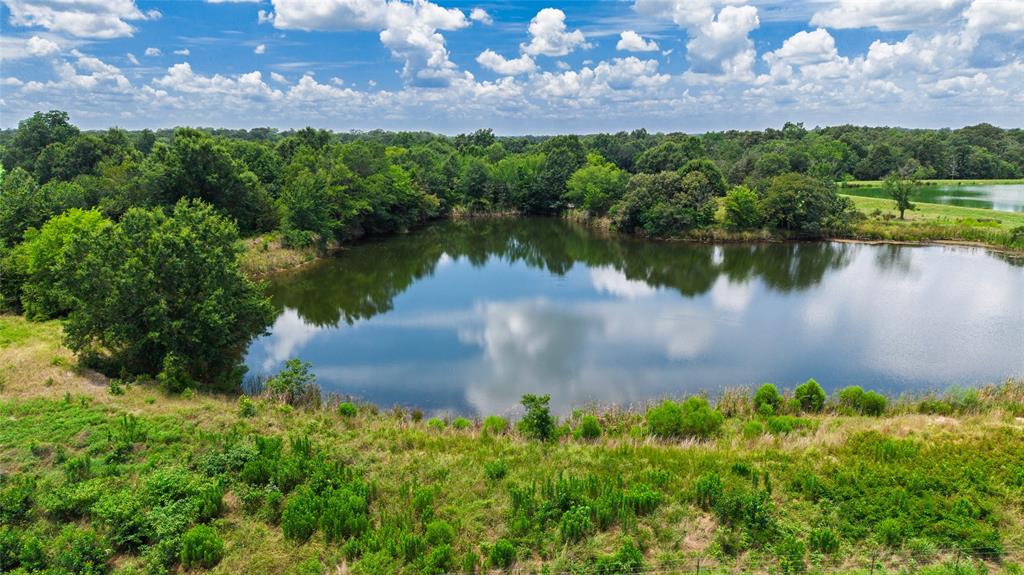 127 Ac County Road 2314 Property Photo 16