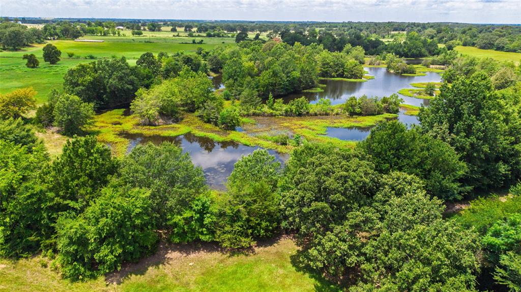 127 Ac County Road 2314 Property Photo 17