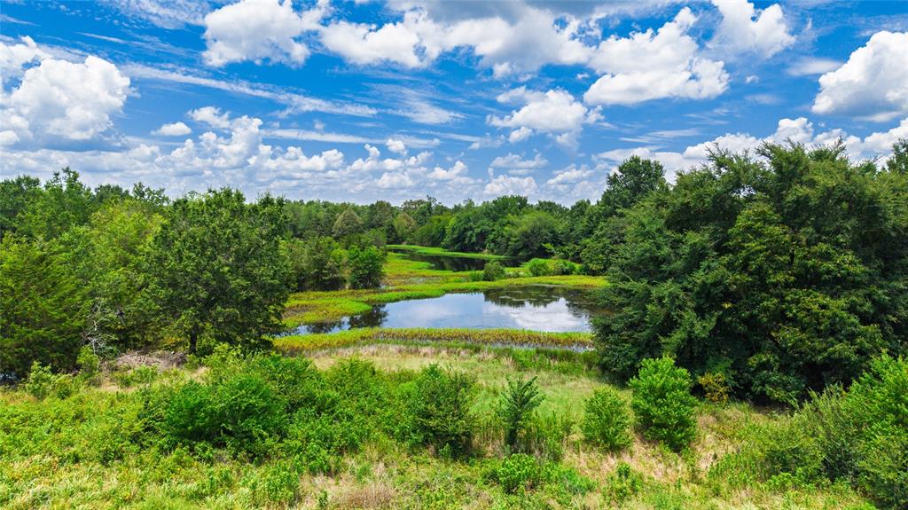 127 Ac County Road 2314 Property Photo 20