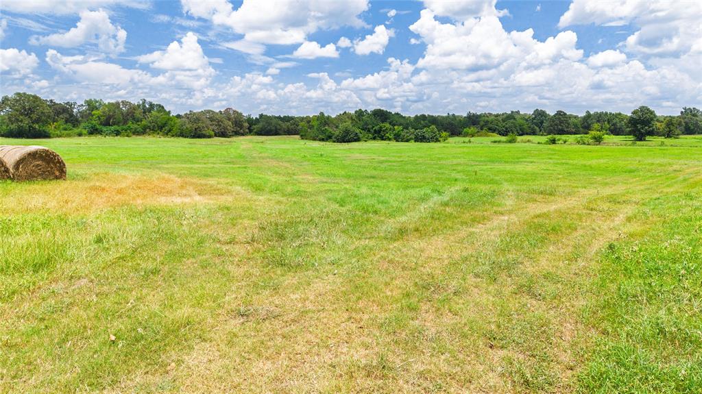 127 Ac County Road 2314 Property Photo 21
