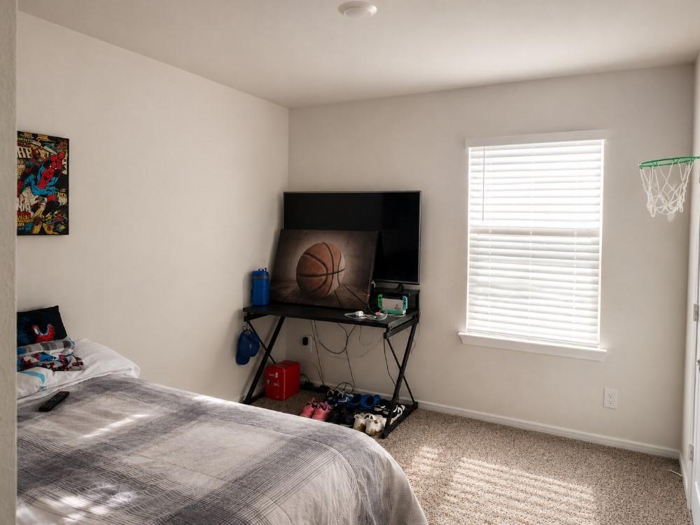 803 Farmstead Way Property Photo 16
