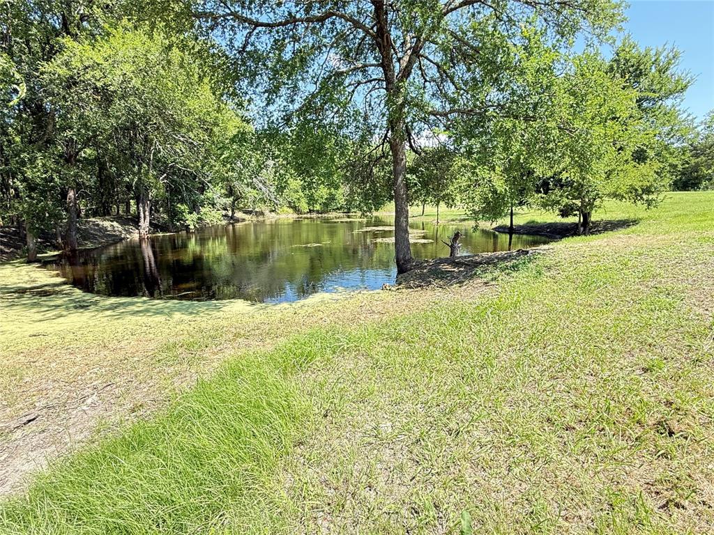 288 County Road 4430 Property Photo 13