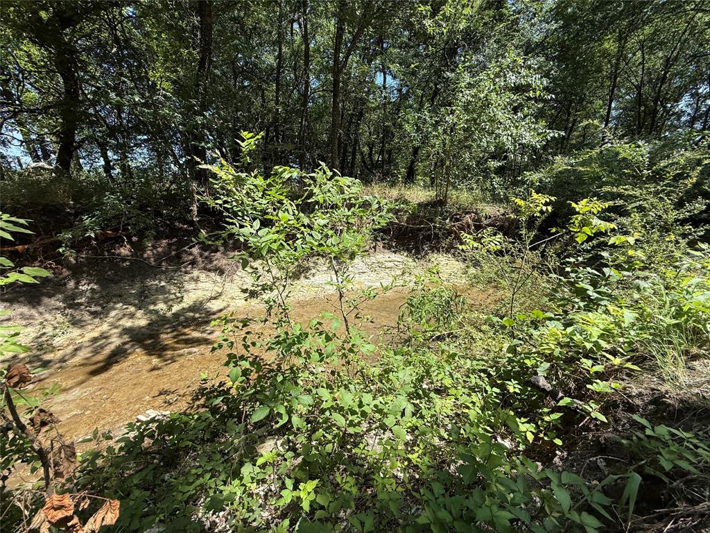 288 County Road 4430 Property Photo 15