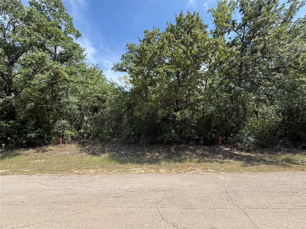 0 Brokenbow Drive Property Photo 1