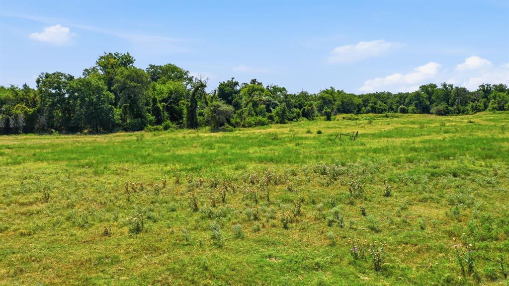 3624 County Road 398 Property Photo 33