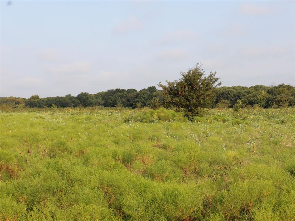Tbd Lot 2 Alsdorf Road Property Photo 10