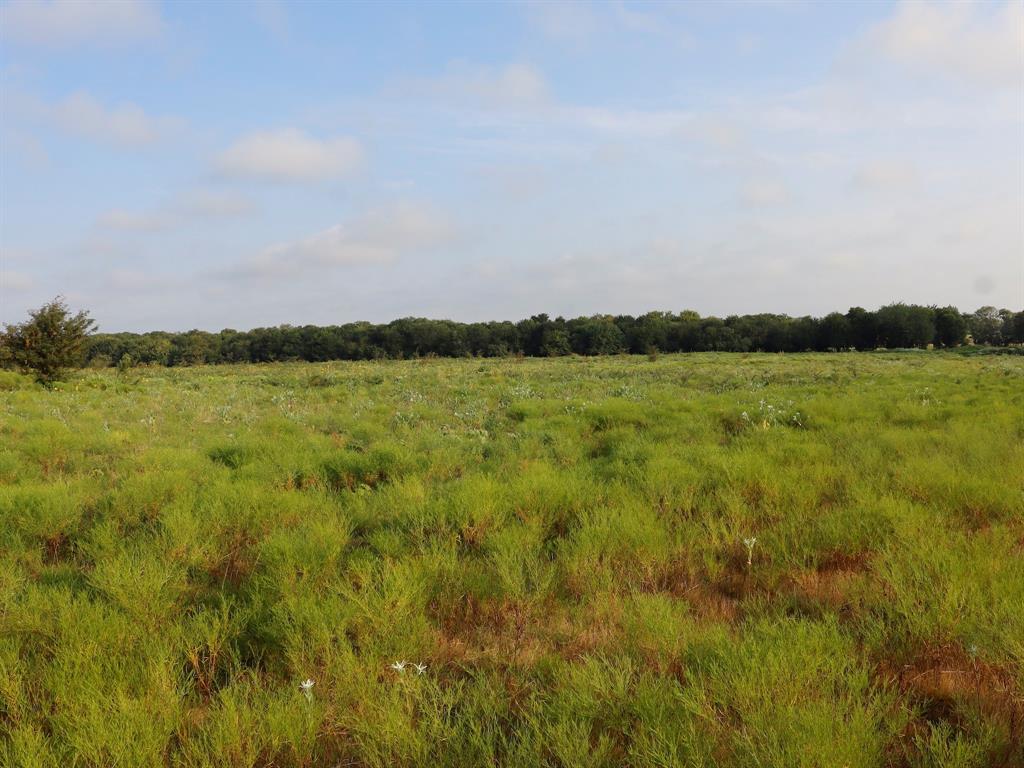 Tbd Lot 2 Alsdorf Road Property Photo 13