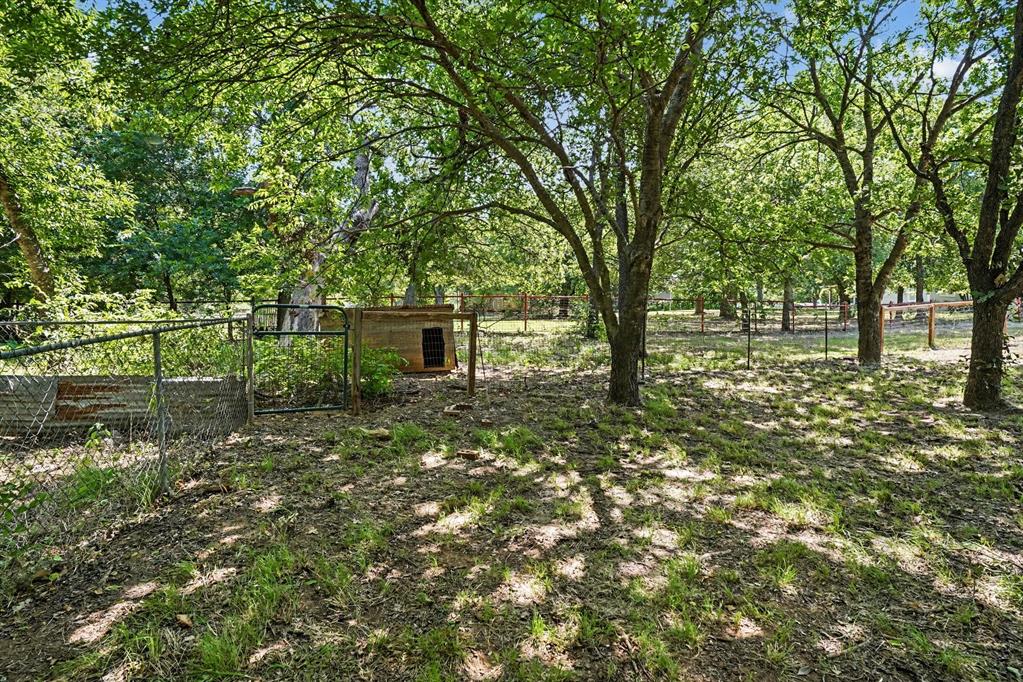 4225 Fm 2415 Property Photo 35