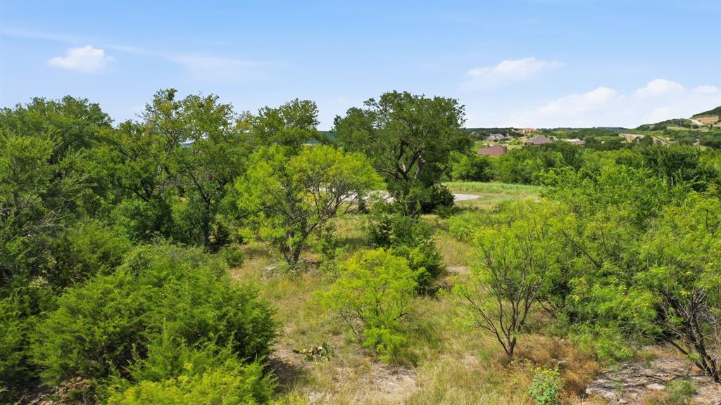 Lot 909 Cinnamon Teal Property Photo 3