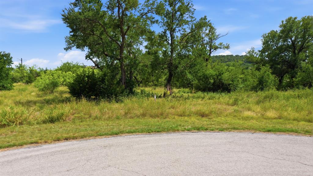 Lot 909 Cinnamon Teal Property Photo 4