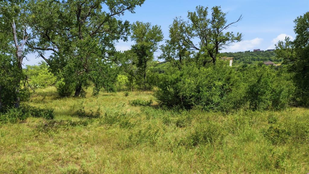 Lot 909 Cinnamon Teal Property Photo 7