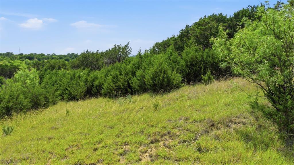 Lot 909 Cinnamon Teal Property Photo 15