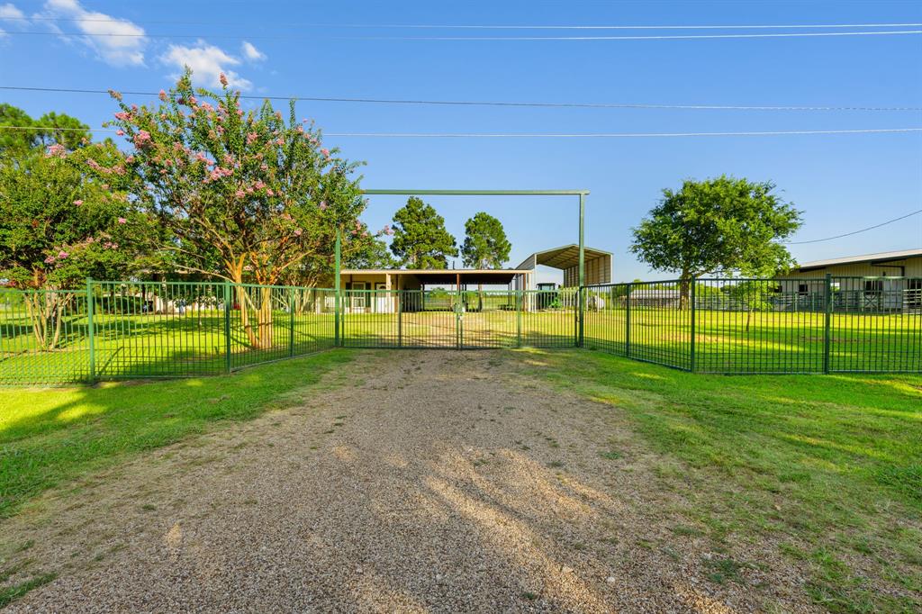 14054 County Road 352 Property Photo 7