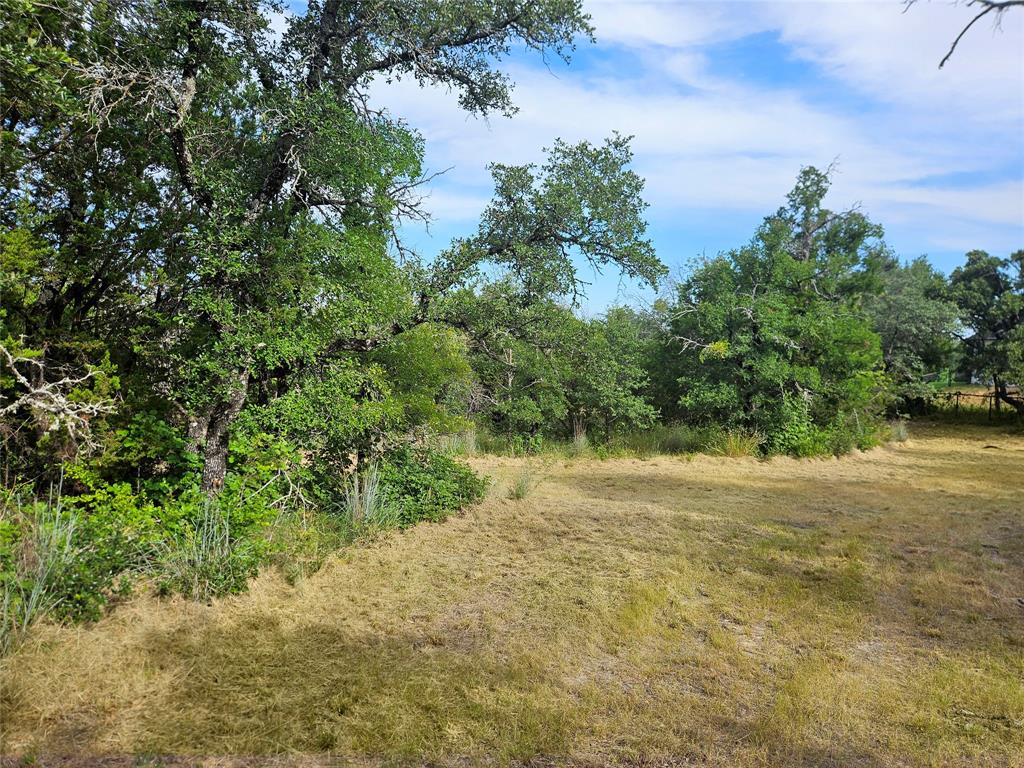 4017 Fall Creek Drive Property Photo 2