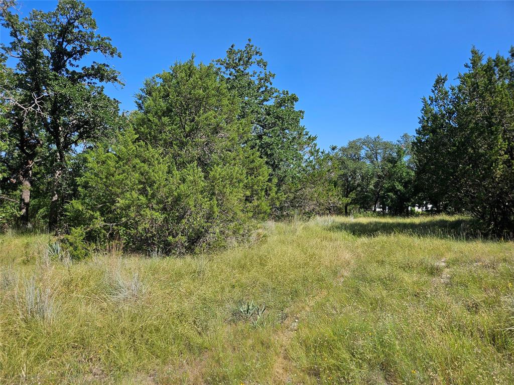4017 Fall Creek Drive Property Photo 5