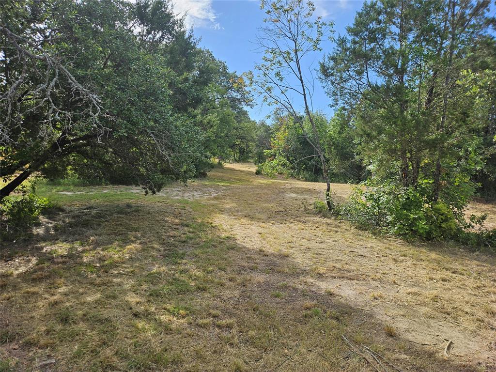 4017 Fall Creek Drive Property Photo 6