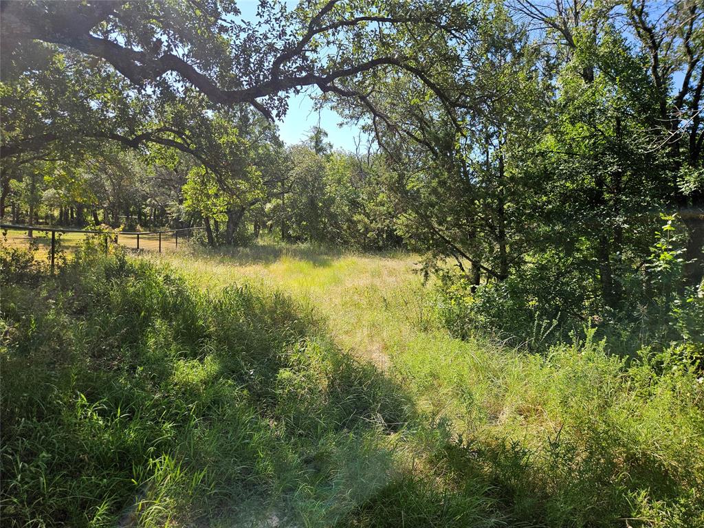 4017 Fall Creek Drive Property Photo 7