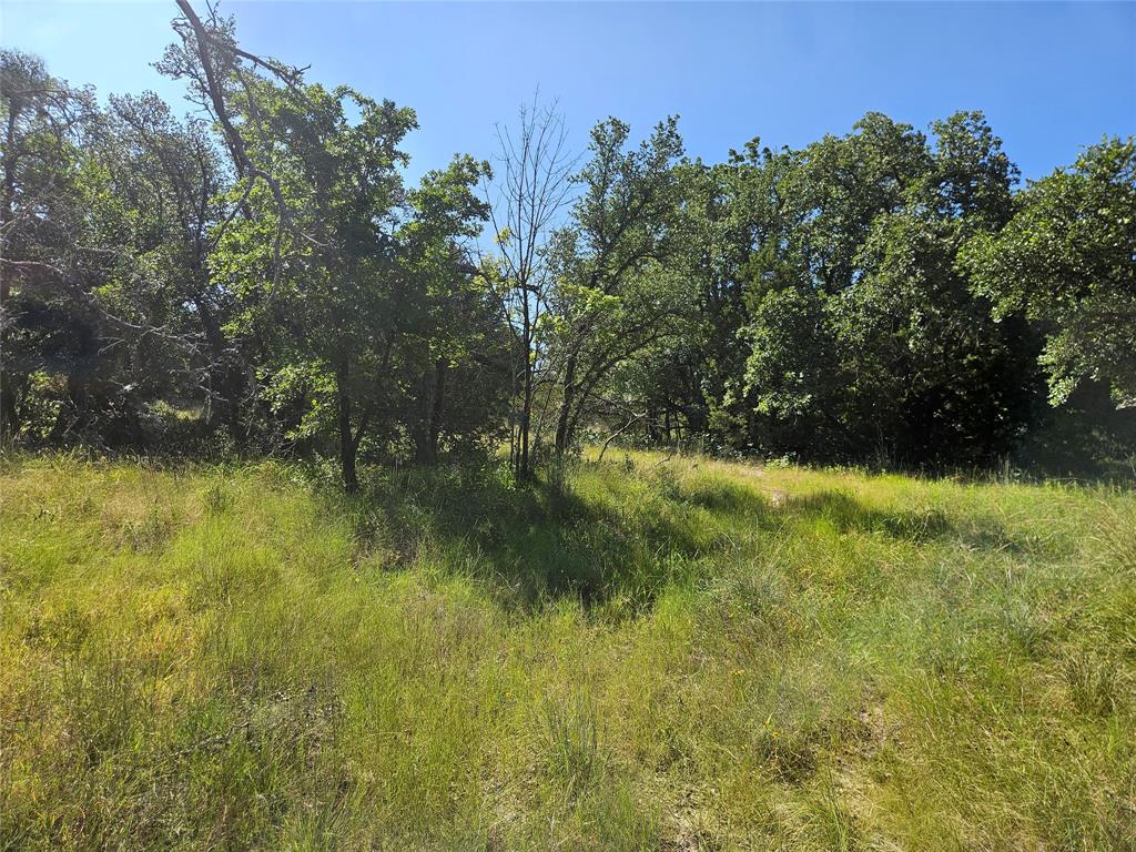 4017 Fall Creek Drive Property Photo 10