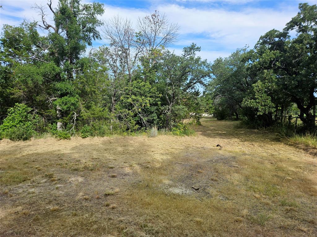 4017 Fall Creek Drive Property Photo 11