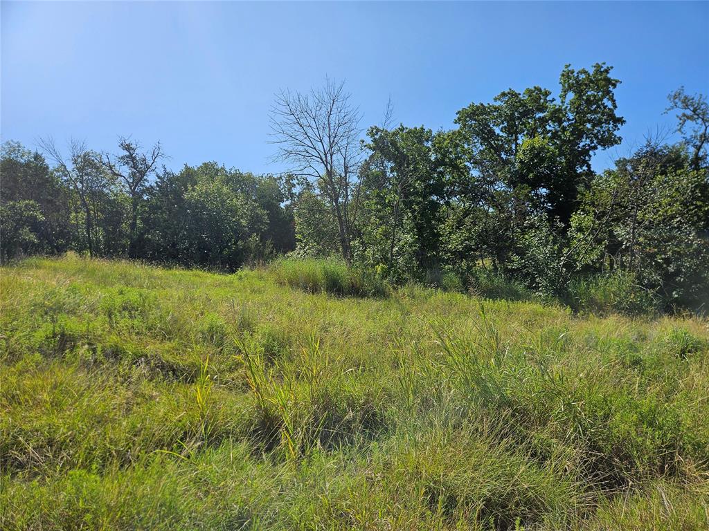 4017 Fall Creek Drive Property Photo 12