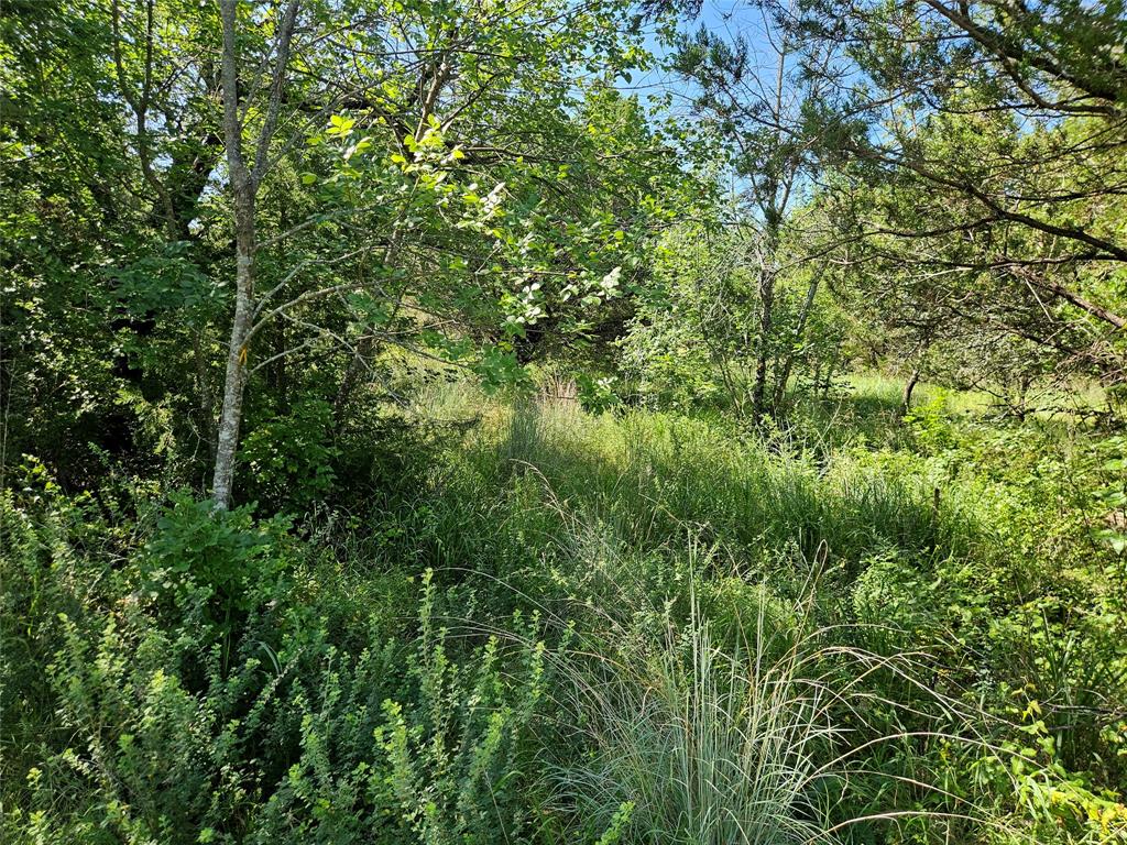 4017 Fall Creek Drive Property Photo 13