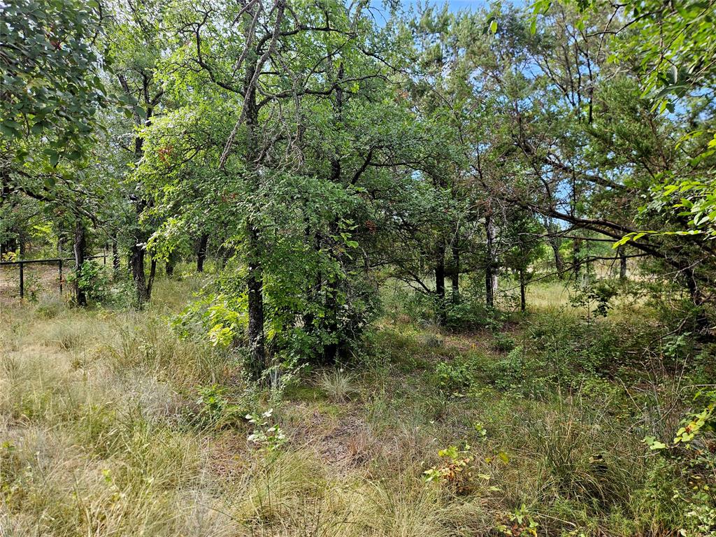 4017 Fall Creek Drive Property Photo 14