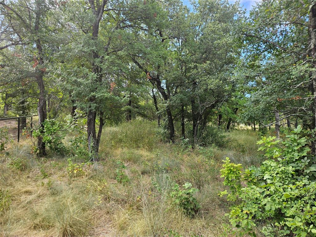 4017 Fall Creek Drive Property Photo 15