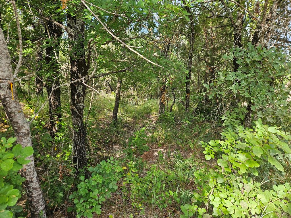 4017 Fall Creek Drive Property Photo 17