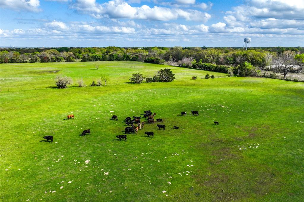 Tbd Tx-274 Tr14b1 Property Photo 5