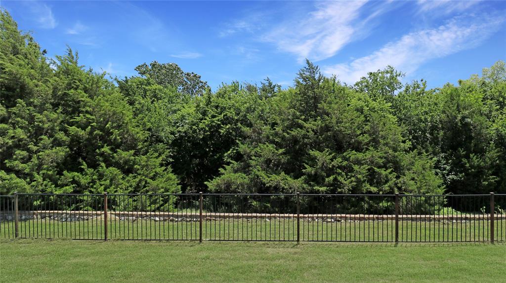 2981 Cattle Baron Drive Property Photo 39