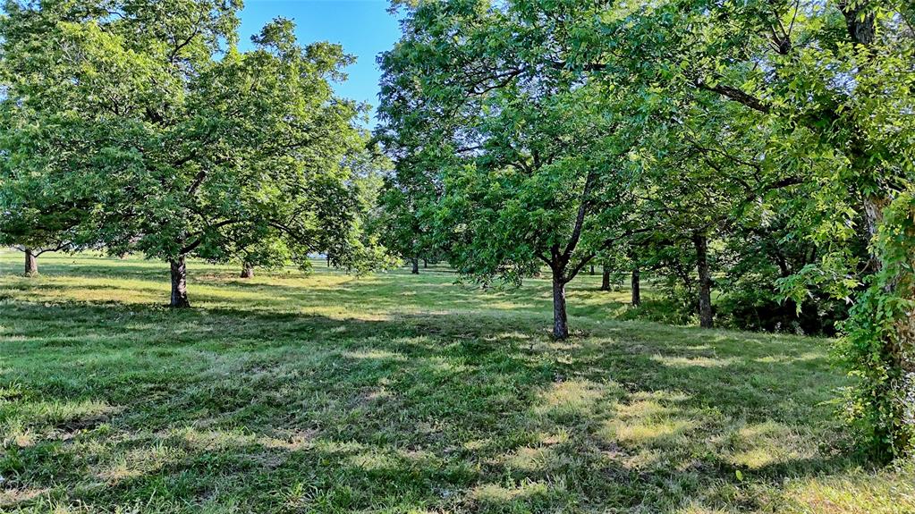 1272 County Road 131 Property Photo 2