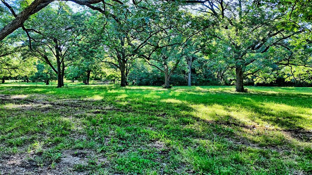 1272 County Road 131 Property Photo 10