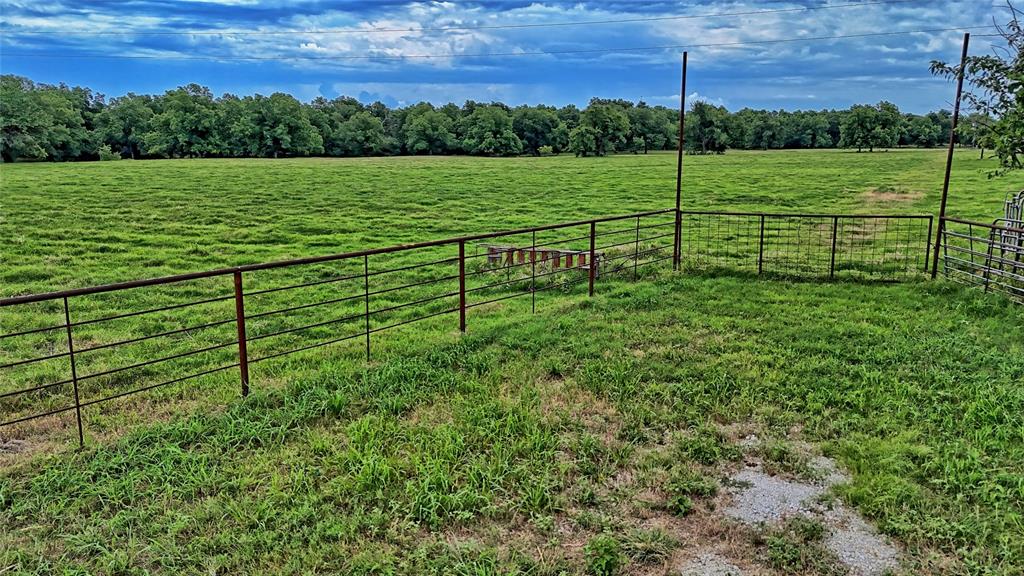 1272 County Road 131 Property Photo 11
