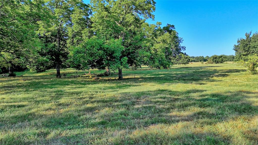 1272 County Road 131 Property Photo 16