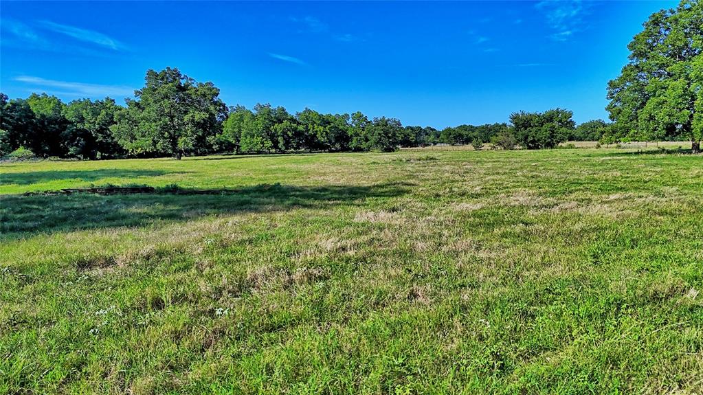 1272 County Road 131 Property Photo 17